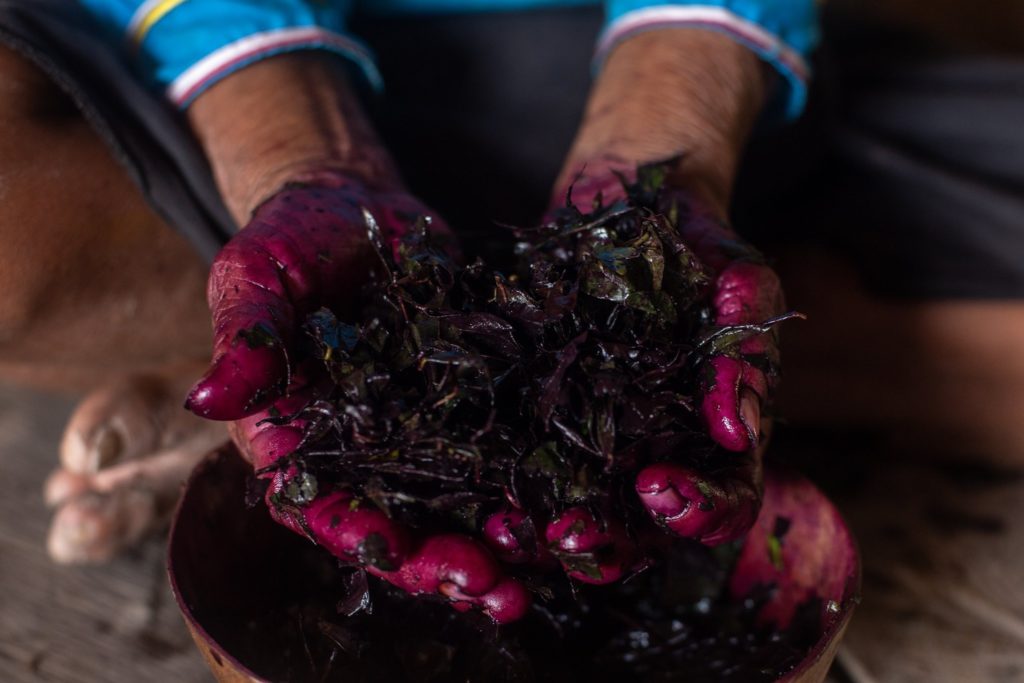 Pourquoi privilégier la teinture naturelle