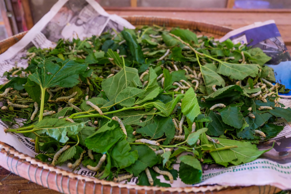 Des matières naturelles pour des couleurs belles