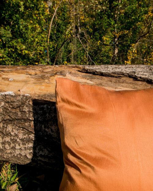 Housse de coussin en soie