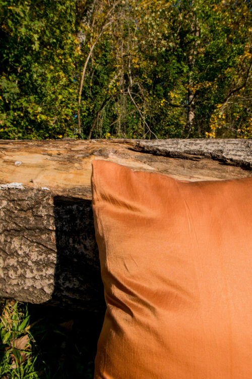 Housse de coussin en soie