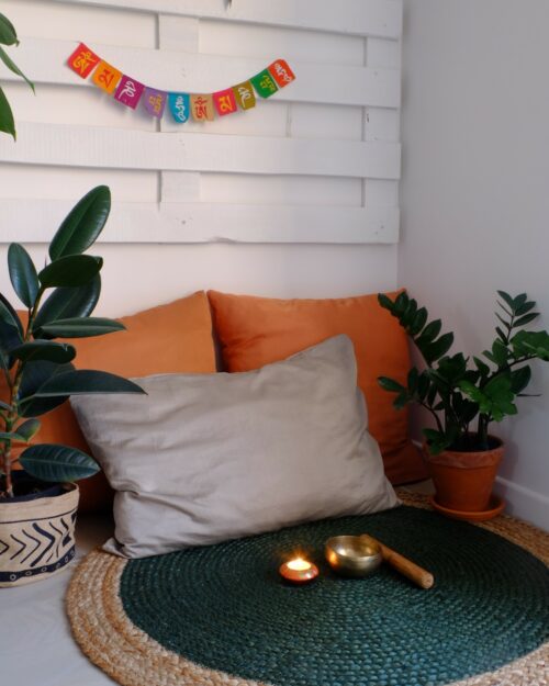 Housse de coussin en soie