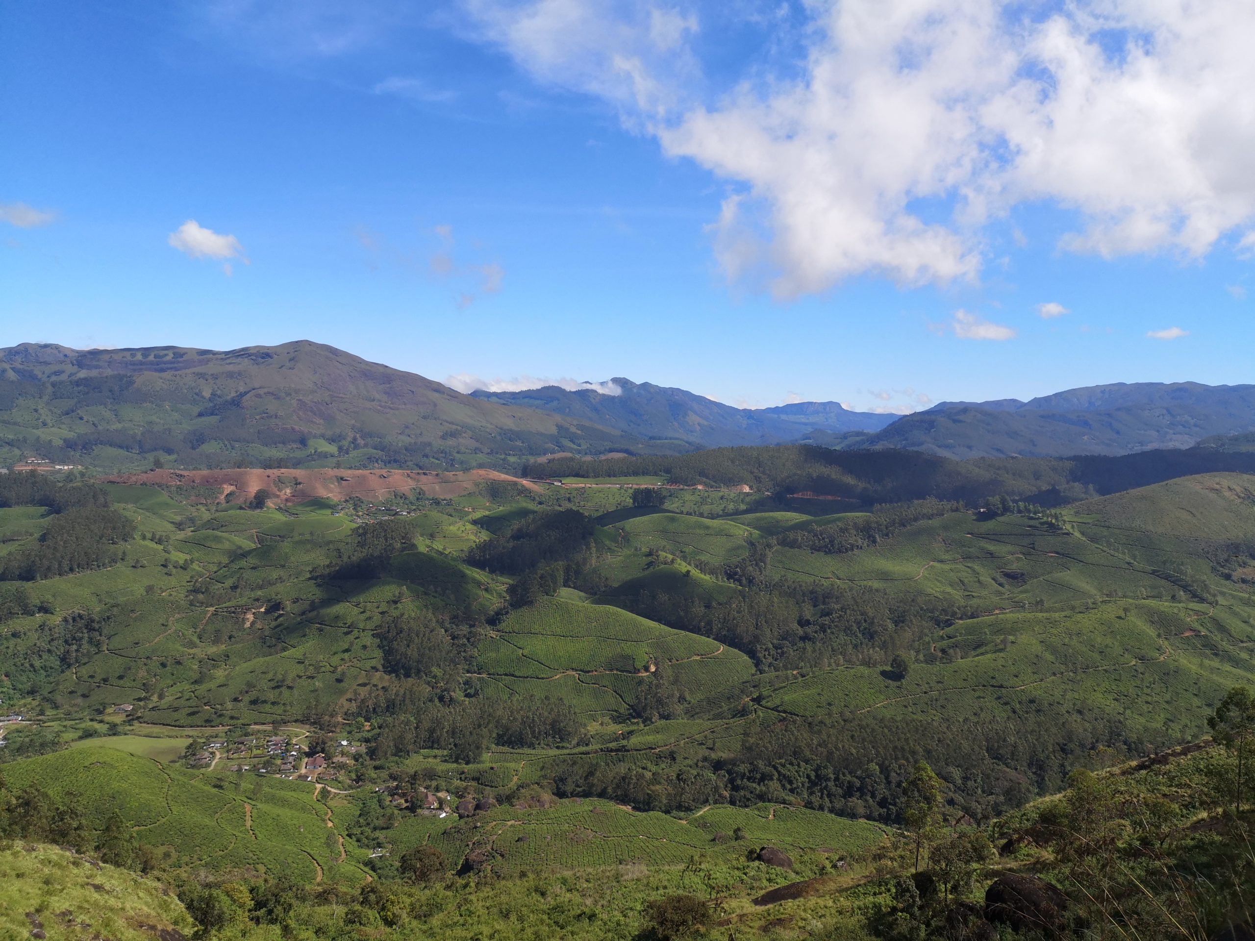 La magie verte de Munnar
